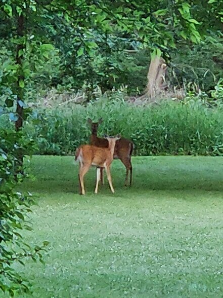 More Photos Of 36026 Jewell Ct, Earlham Land For Sale