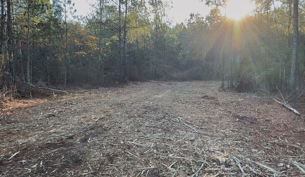 More Photos Of 319 - 547 Sisters Ferry Road, Ridgeland Land For Sale