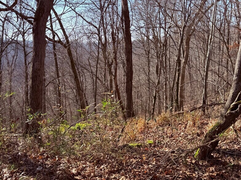 More Photos Of 4604 Summersville Rd, Campbellsville Land For Sale