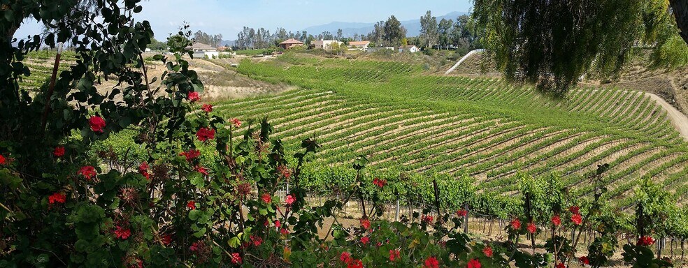 More Photos Of 33515 Rancho California Rd, Temecula Winery Vineyard For Sale