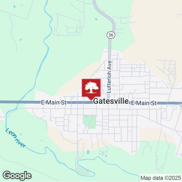 More Photos Of NW Corner of HWY 36 Byp N & E US HWY 84, Gatesville Land For Sale