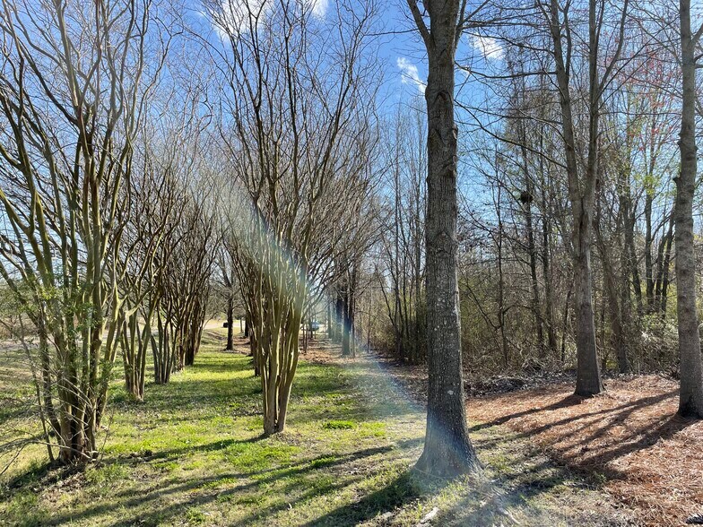 More Photos Of Northpark Dr, Ridgeland Land For Sale