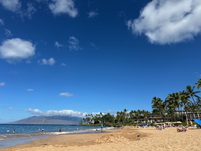 More Photos Of 3135 Lower Kula Rd, Kula Storefront Retail Office For Sale