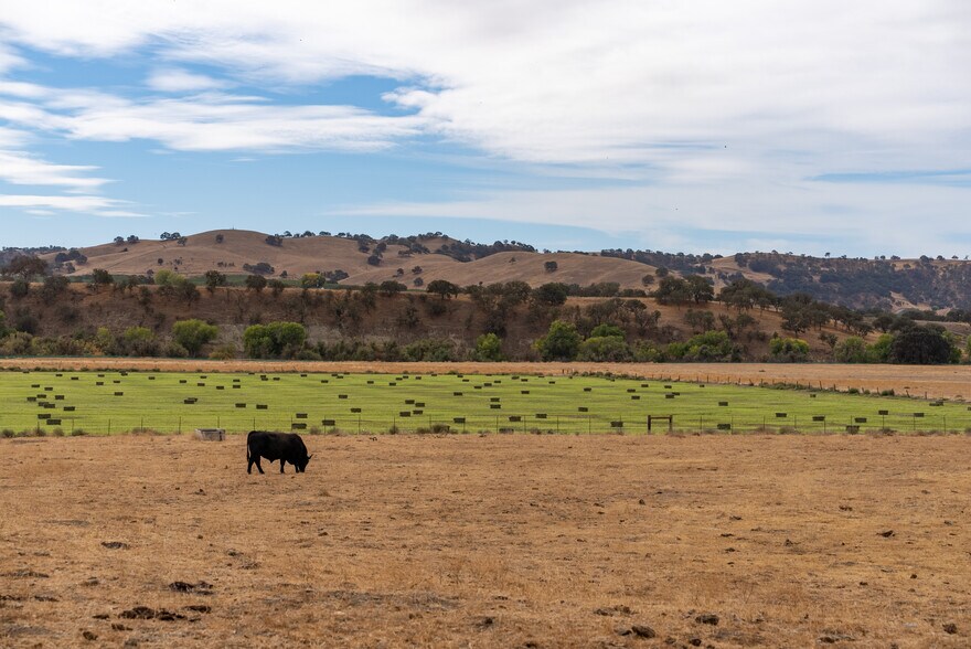 More Photos Of 13625 Ca-46, Paso Robles Land For Sale