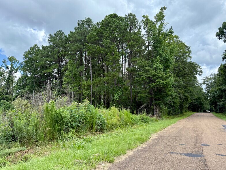 More Photos Of 2194 MS-570, Summit Land For Sale