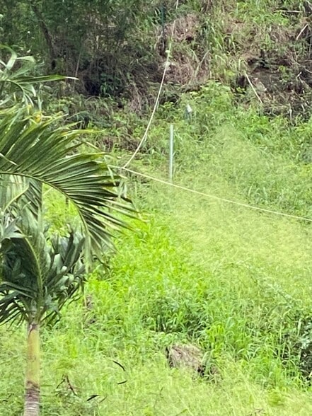 More Photos Of 96-1243 Waihona St, Pearl City Warehouse For Sale