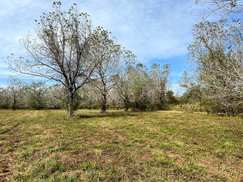 More Photos Of 0 Hwy 35, Van Vleck Land For Sale