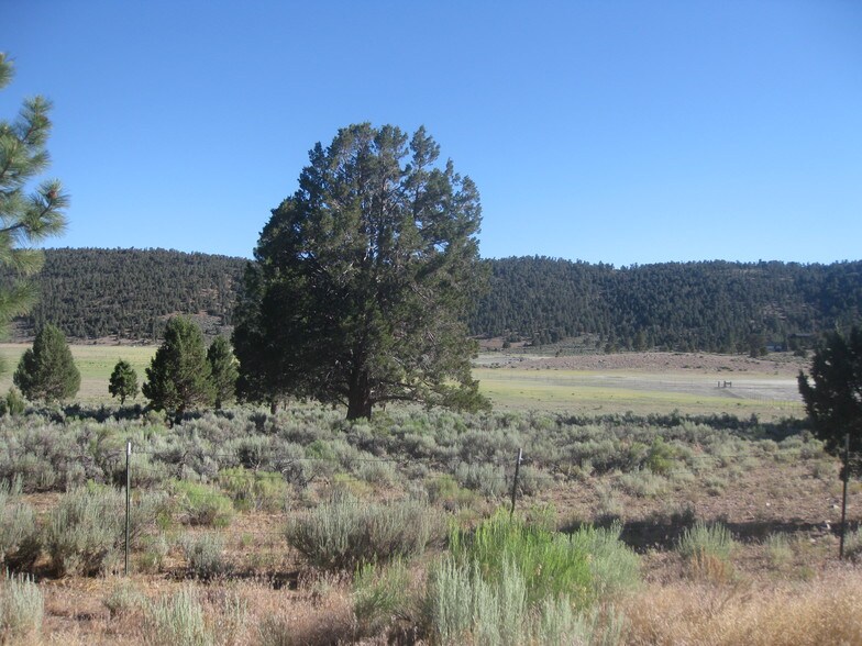 More Photos Of 2809 Cedar Ln, Big Bear City Land For Sale