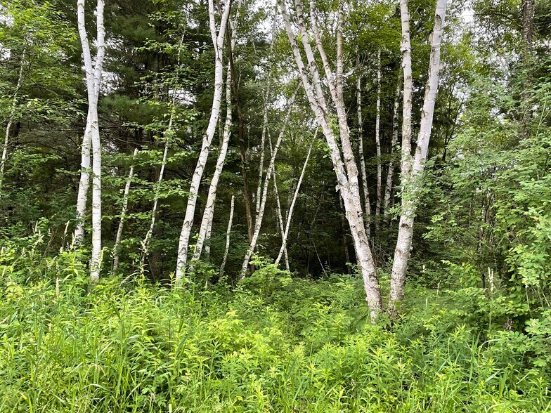 More Photos Of Hogsback Road, Exeland Land For Sale