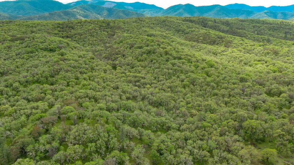 More Photos Of 8785 Blackwell Rd, Central Point Land For Sale