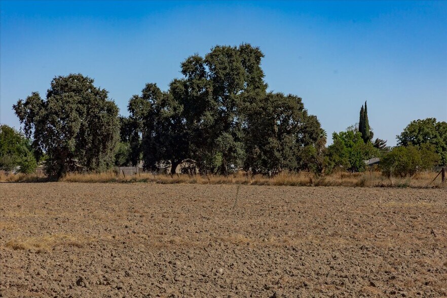 More Photos Of 1425 5th St, Colusa Land For Sale