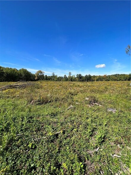 Primary Photo Of Victoria Rd, Youngstown Land For Sale