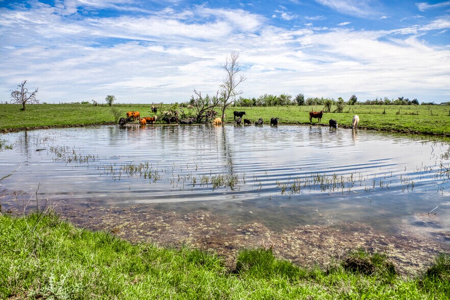 More Photos Of 20751 FM 1155 E, Washington Land For Sale