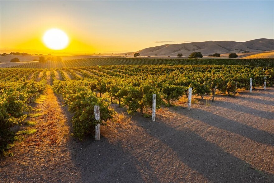 More Photos Of 8283 Cross Canyons Rd, San Miguel Winery Vineyard For Sale