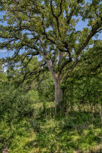 More Photos Of 3208 W State Highway 21, Bryan Land For Sale