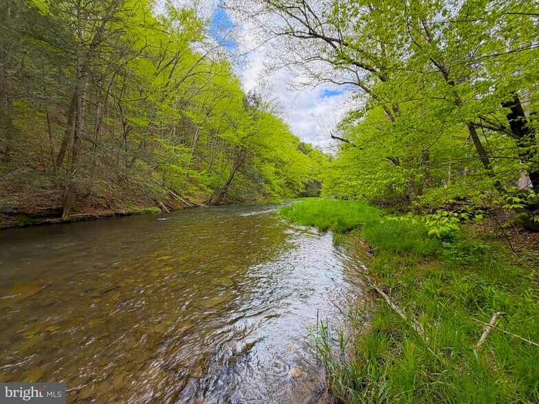More Photos Of 1226-1227 Cross Fork Creek Rd, Cross Fork Land For Sale