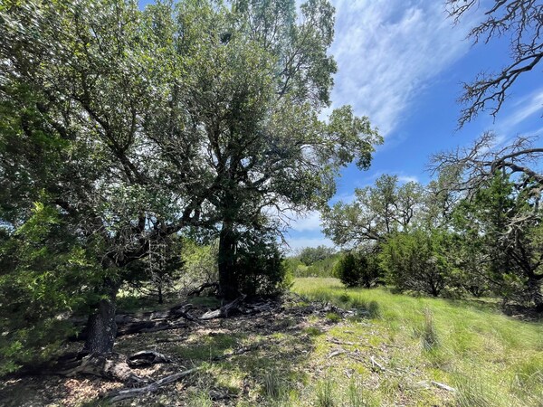 More Photos Of 221 W Rolling Oaks Dr, Goldthwaite Land For Sale