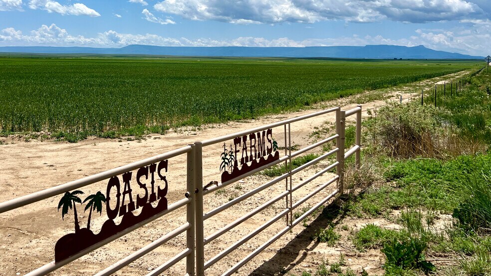 More Photos Of 48999 County Road 48, Model Land For Sale