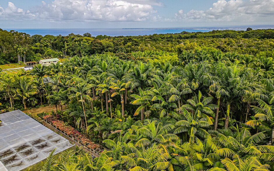 More Photos Of 27-2760 Hawaii Belt Rd, Pepeekeo Land For Sale