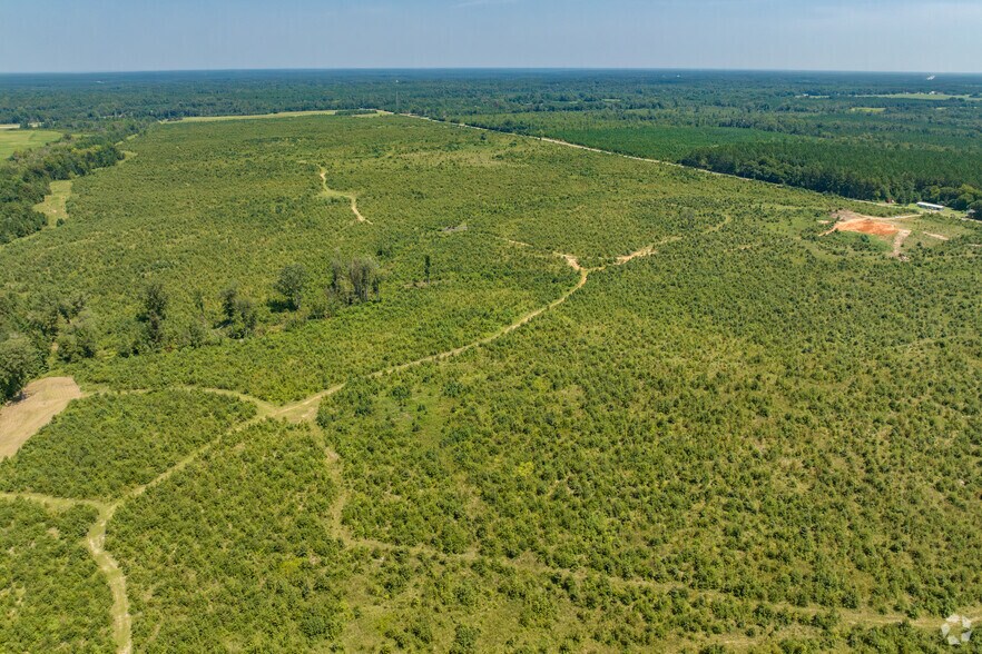 More Photos Of I-16 & Hwy 96, Jeffersonville Land For Sale