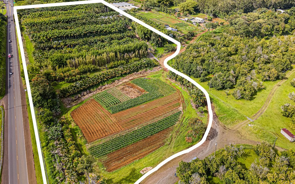 More Photos Of 27-2760 Hawaii Belt Rd, Pepeekeo Land For Sale