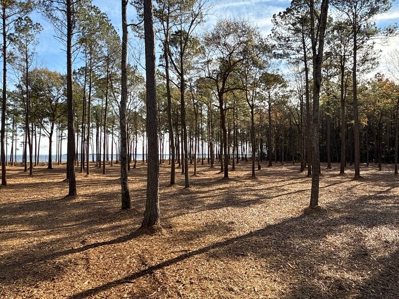 More Photos Of 0 Norfleet Shores Road, Belhaven Land For Sale