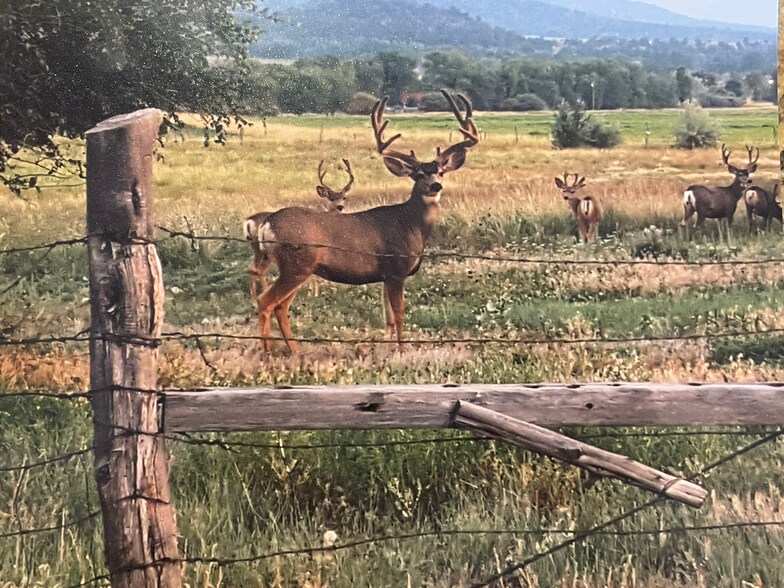 More Photos Of Lots 3-4 Road G.25, Mancos Land For Sale