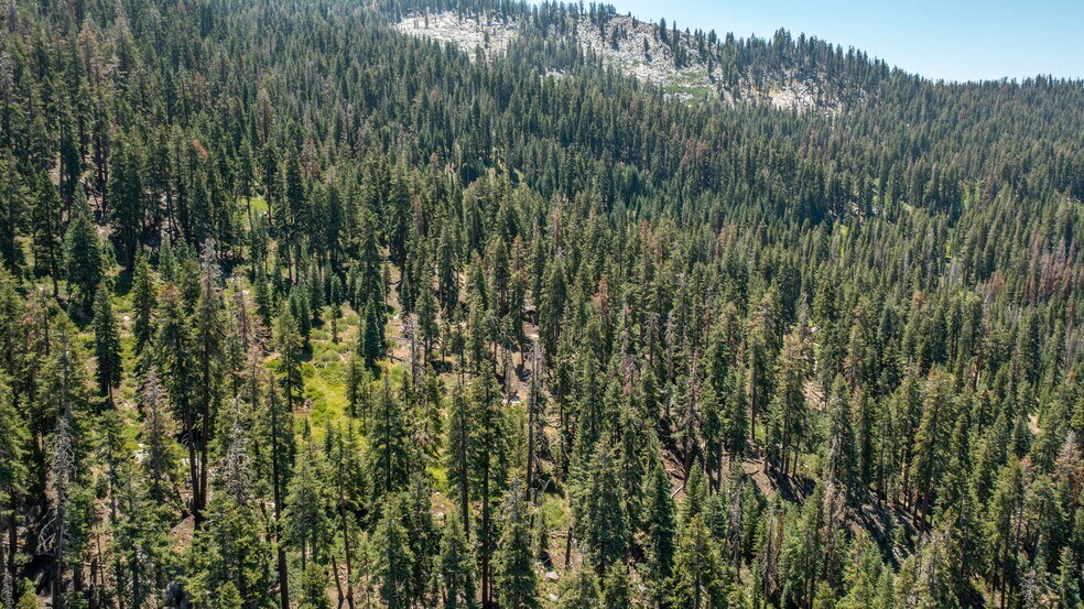 More Photos Of 65745 Big Meadows Road, Kings Canyon National Pk Land For Sale