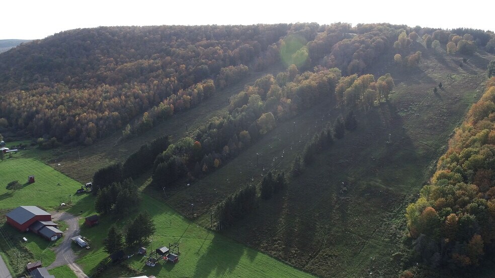 More Photos Of 1135 Toggenburg Rd, Fabius Land For Sale