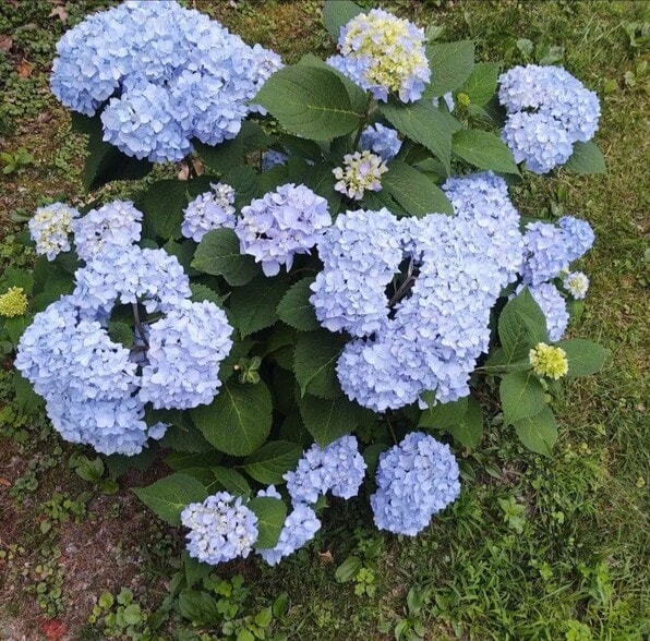 More Photos Of 22 Chestnut St, Brattleboro Apartments For Sale