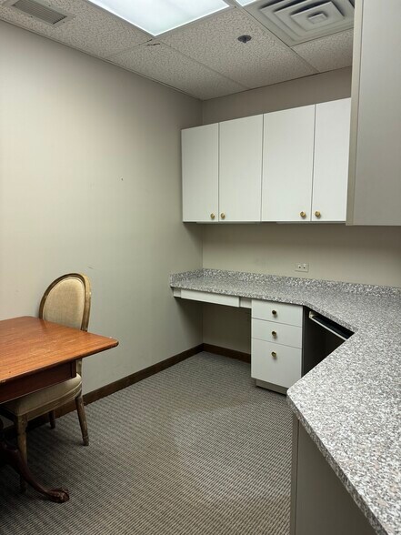 More Photos Of 522 Chestnut St, Hinsdale Medical For Lease