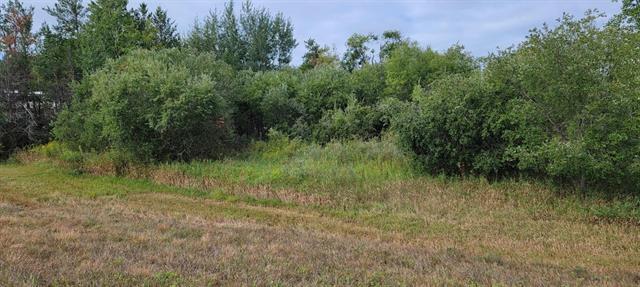 More Photos Of Academy Ave (County CA) & Granite, Tomah Land For Sale