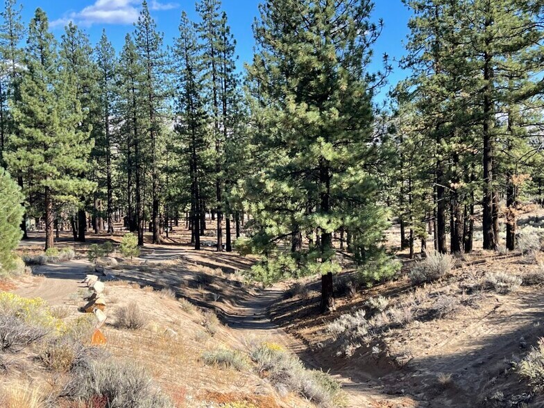 More Photos Of 415-025 Scott Rd, Doyle Land For Sale