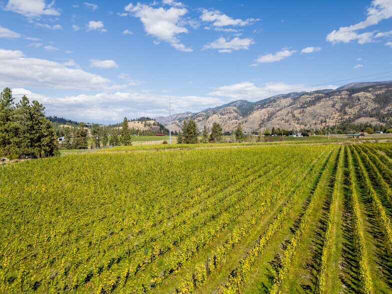 More Photos Of 1580 Chapman Rd, Okanagan Falls Winery Vineyard For Sale