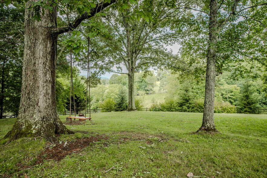 More Photos Of 305 Sluder Branch Rd, Leicester Land For Sale