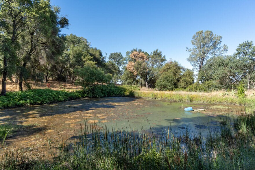 More Photos Of Shenandoah Road @ Fiddletown Road, Plymouth Land For Sale