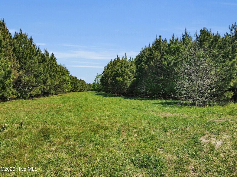 More Photos Of Burton Farm rd, Arapahoe Land For Sale