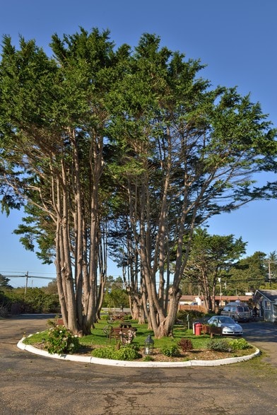 More Photos Of 18725 N Highway 1, Fort Bragg Hotel For Sale
