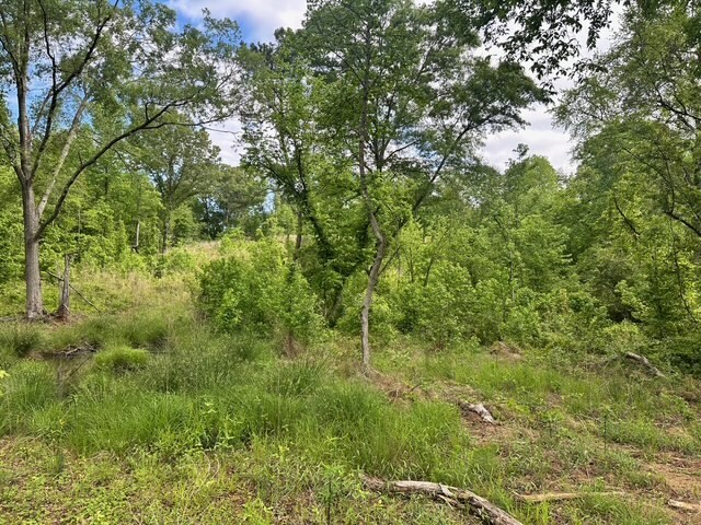 More Photos Of Satcher Road #4 Rd, Taylorsville Land For Sale