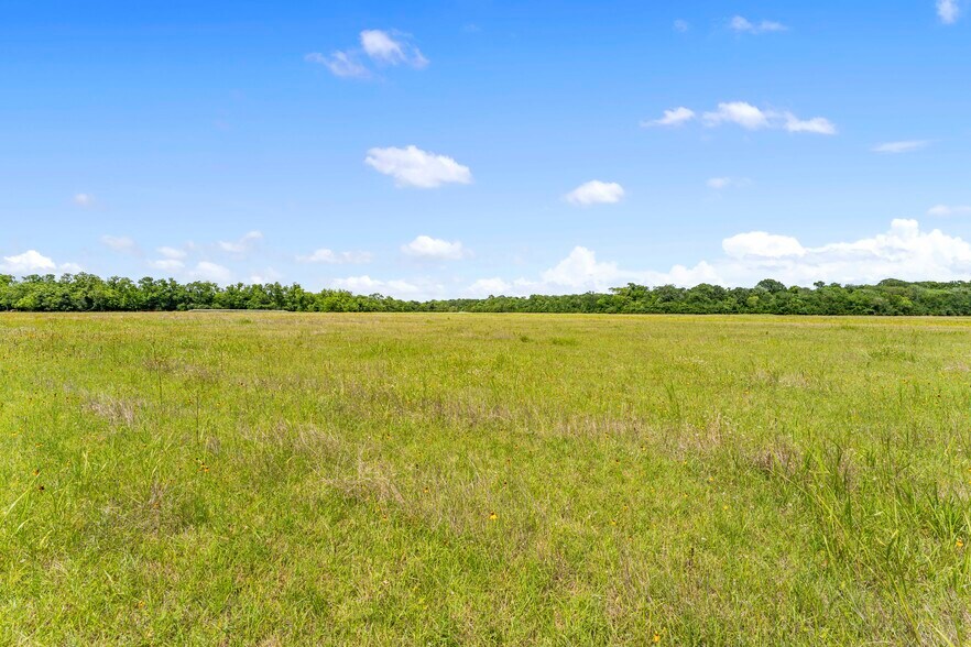 More Photos Of 10840 FM 442, Boling Land For Sale