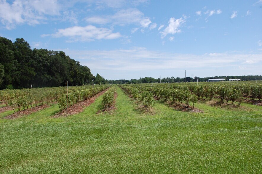 More Photos Of 18811 SE 243rd St, Hawthorne Specialty For Sale