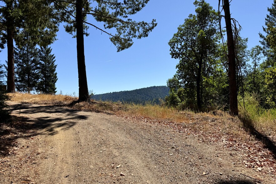 More Photos Of 1200 Roberts Rd, Ben Lomond Land For Sale