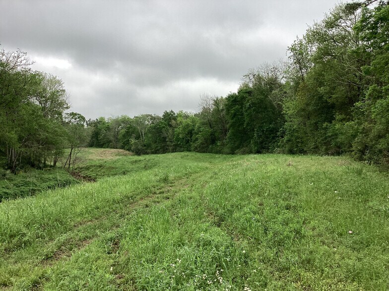 More Photos Of 0 County Road 4876, Dayton Land For Sale