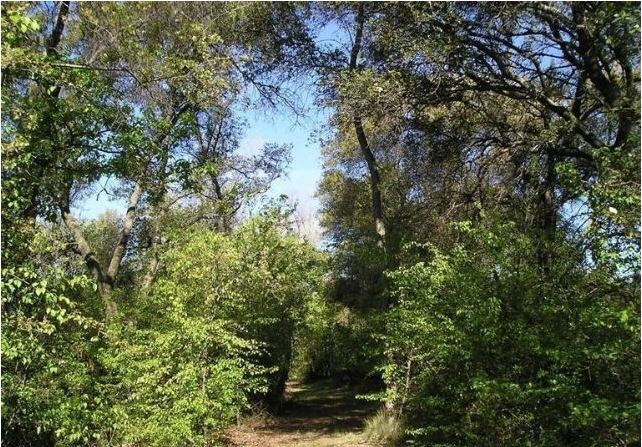 More Photos Of 3130 Penryn Rd, Penryn Land For Sale