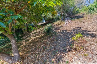 More Photos Of 614 Cragmont Ave, Berkeley Land For Sale