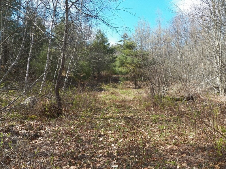 More Photos Of 988 Dover Rd, Epsom Land For Sale
