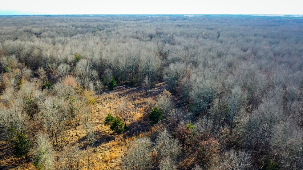 More Photos Of 1200 County 1255 rd, Detroit Land For Sale