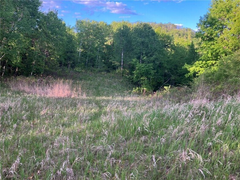 More Photos Of N3953 Bear Pen Rd, Arkansaw Land For Sale