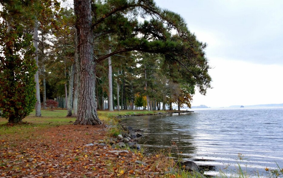 More Photos Of 1007 Scottsboro Hwy, Guntersville Land For Sale