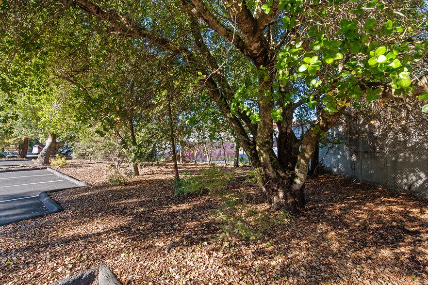 More Photos Of 254 1st St E, Sonoma Land For Sale